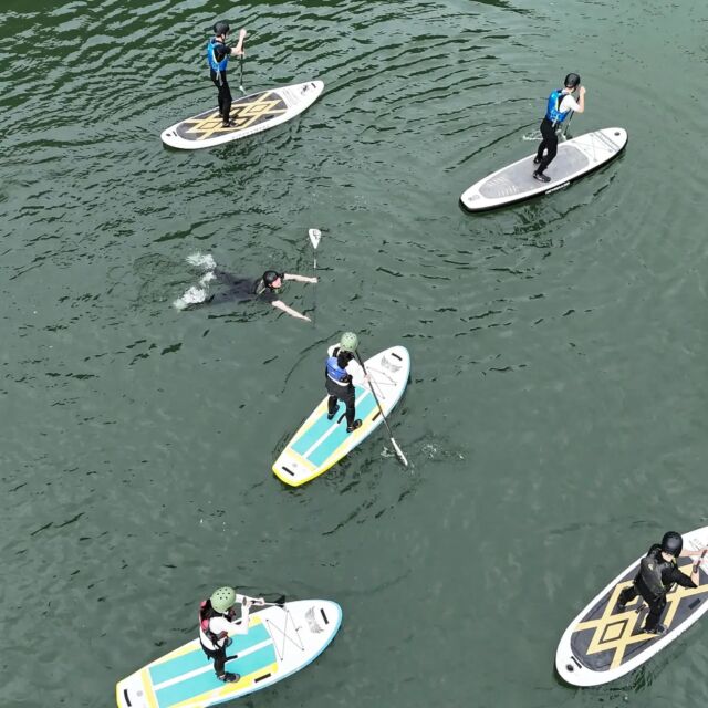 おとといのSUPツアーの様子です🏄‍♂️
​曇り空が広がるお天気でしたが、暑すぎず心地よい気温の
中でのツアーとなりました☁️
SUPの上でバランスを取りながらのんびりクルージングしたり、途中で川にドボンと飛び込んで泳いだり。
気がつけば天気を忘れるくらい、みんなで思いきり遊び尽くしました！
​ご参加いただいた皆さま、本当にありがとうございました。